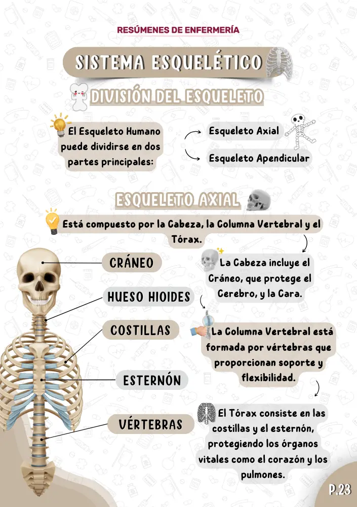 Espanhol Anatomia PT1 (9) (1)